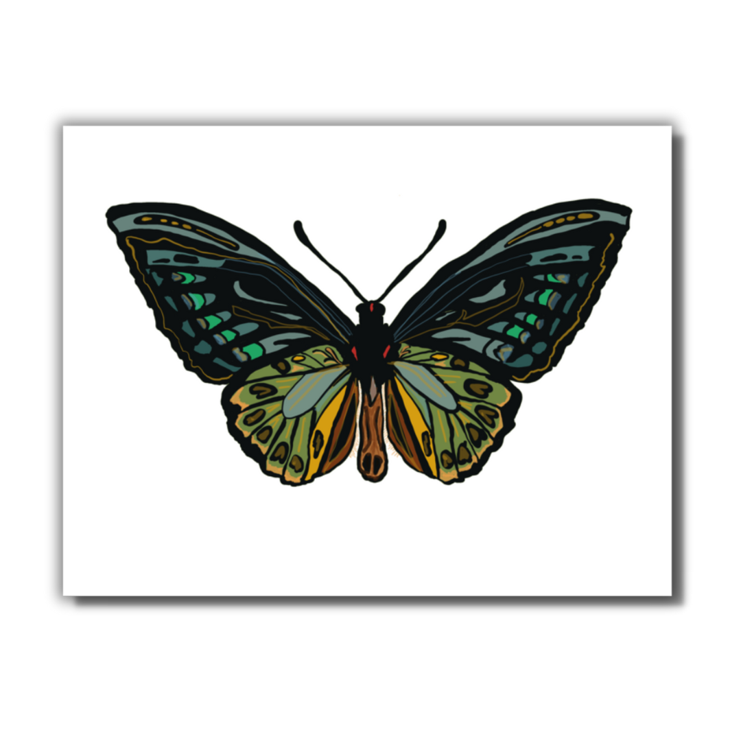 Moth Note Card (Green)
