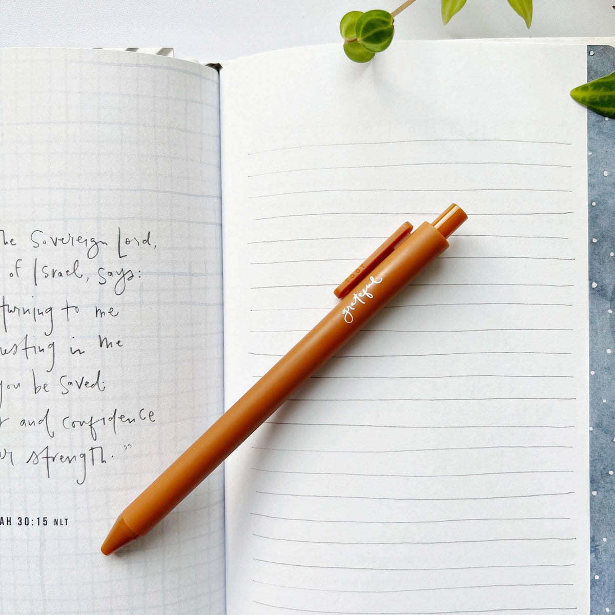 Jotter Pens by Emily Lex Studio