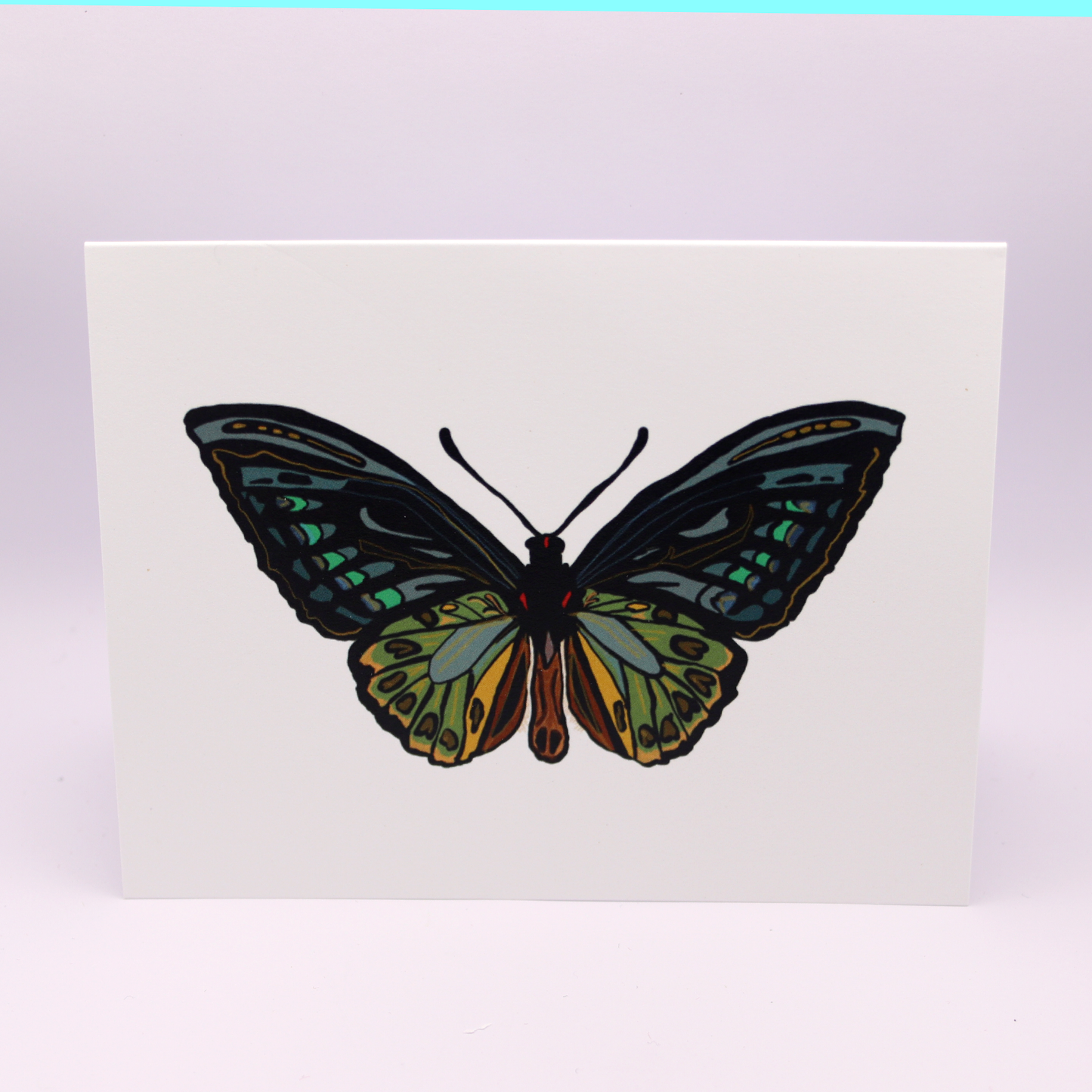 Moth Note Card (Green)