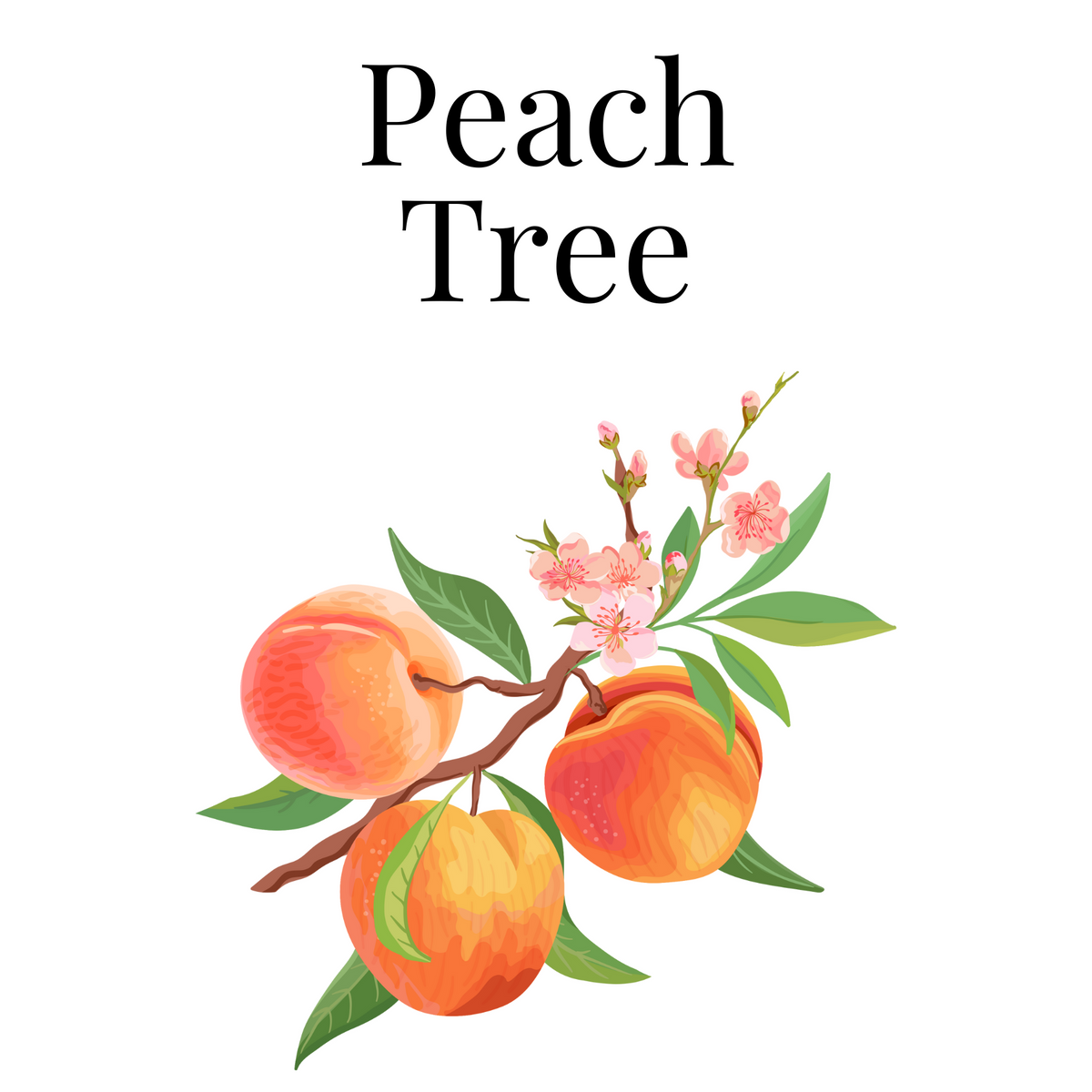 Peach Tree Hand-Poured Soy Wax Candle, 6 oz