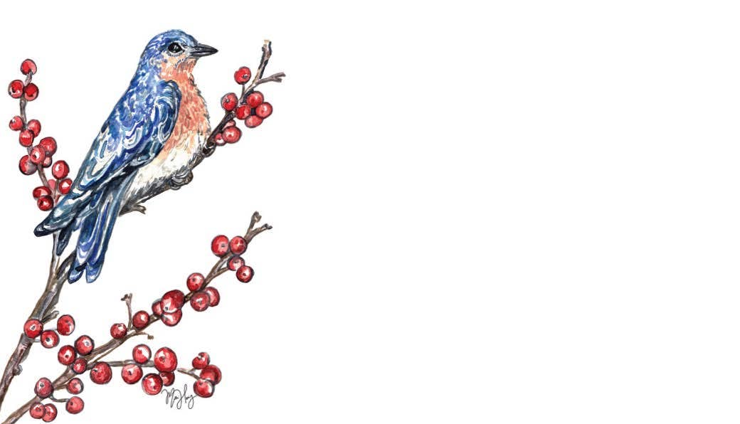 Bluebird Tiny Cards | Pack of 60 "Love Notes"